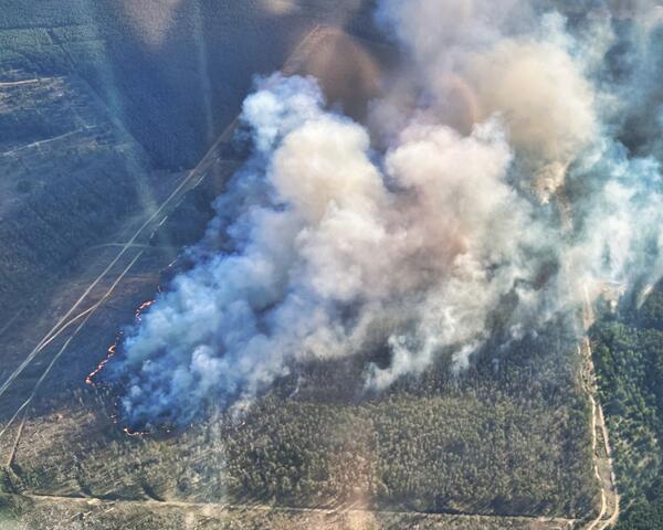 2023-06-13 Waldbrandlage in Lübtheen und Hegnow unverändert