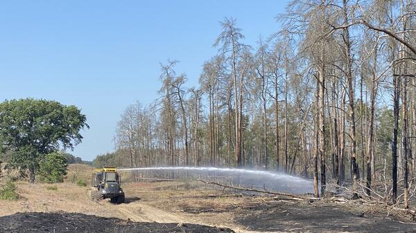 2023-06-14 Forwarder der Landesforst im Einsatz